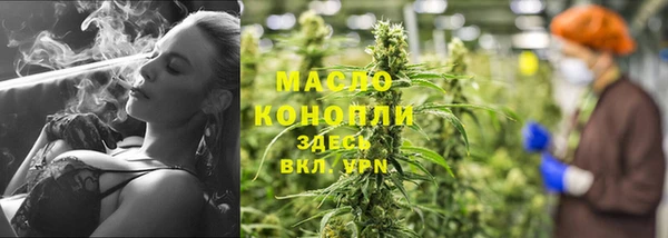 гашик Белокуриха
