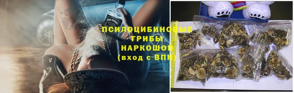 гидропоника Белоозёрский