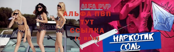 гашик Белокуриха