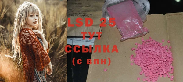 гашик Белокуриха