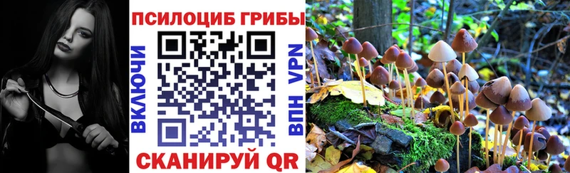 Псилоцибиновые грибы GOLDEN TEACHER  Шебекино 